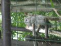 IMGP0934.JPG